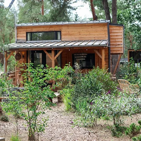 Modern Holiday On The Veluwe Holiday home *