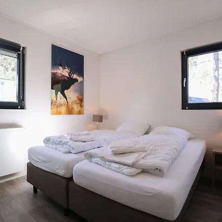 Modern Holiday On The Veluwe Holiday home