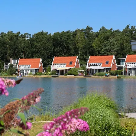 Modern Holiday On The Veluwe Holiday home *