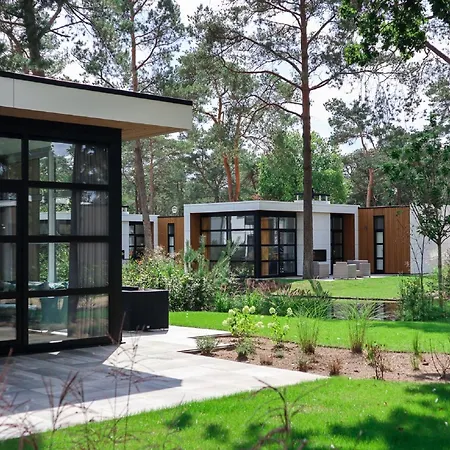 Modern Holiday On The Veluwe