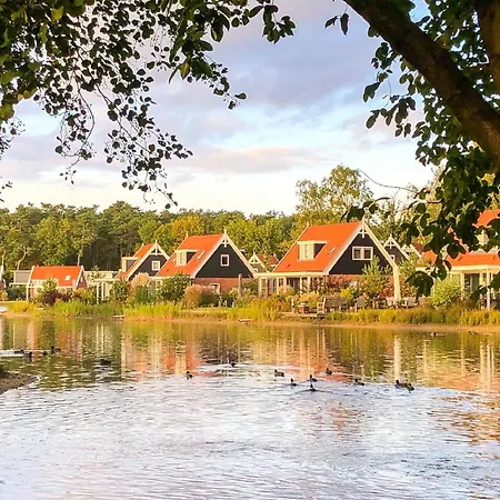 Modern Holiday On The Veluwe *