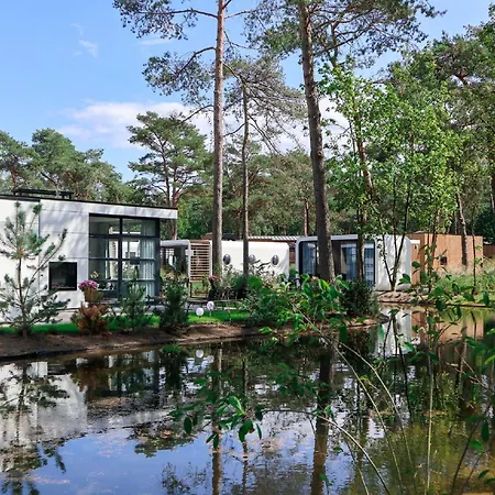 Modern Holiday On The Veluwe